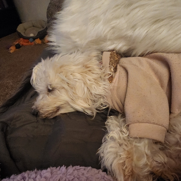 Meet your Posher, Jessica - Picture 9 of 16